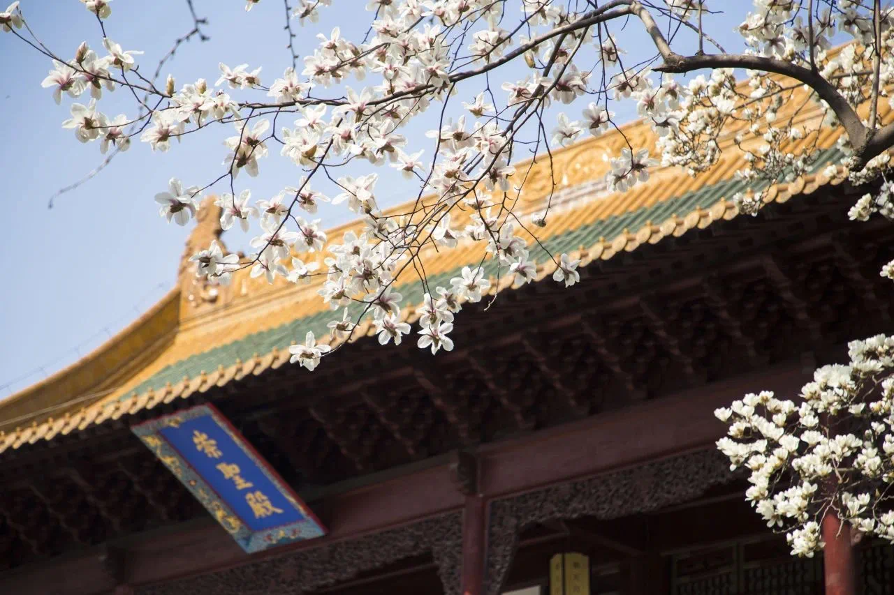 65c09d2deaafa07fe4a13bba0f29399d.png 65c09d2deaafa07fe4a13bba0f29399d.png