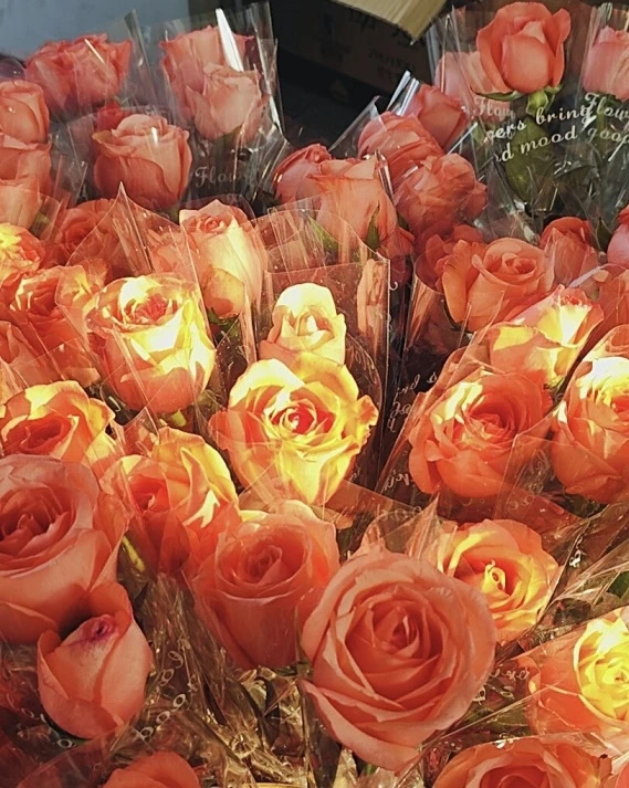 5351ba8d57712263.jpg 5351ba8d57712263.jpg