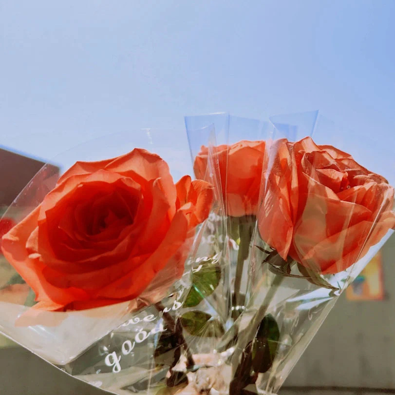 79a523010468bdb4.jpg 79a523010468bdb4.jpg